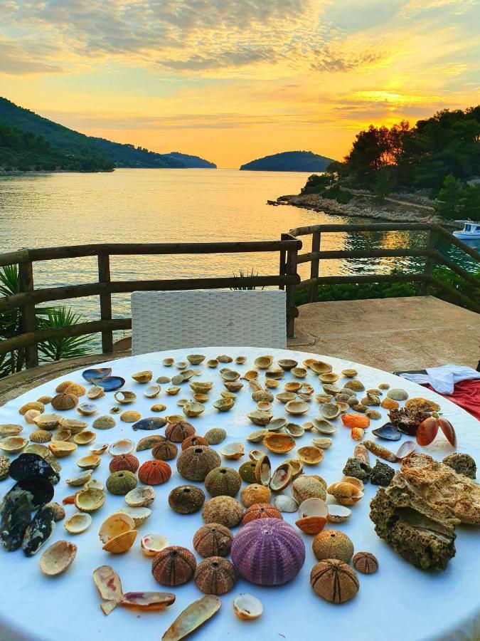 شقة Casa Naranja Croatia فيلا لوكا المظهر الخارجي الصورة